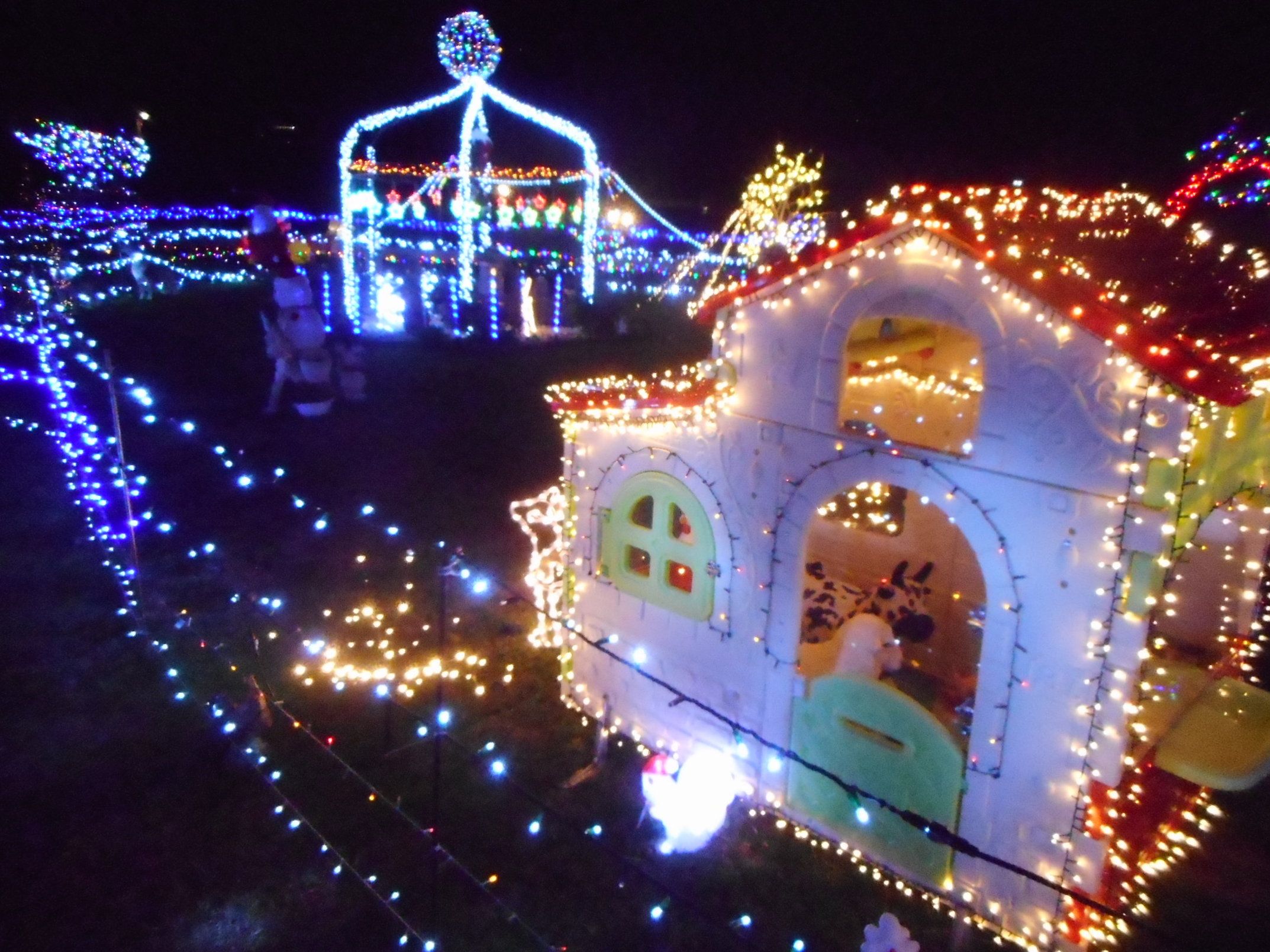 DSCN7925.jpg